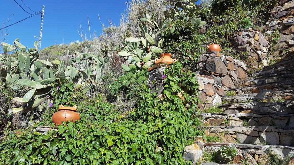 Casa Rural - Laendliches Haus, Pepita La De Las Flores Tejeda  Eksteriør bilde