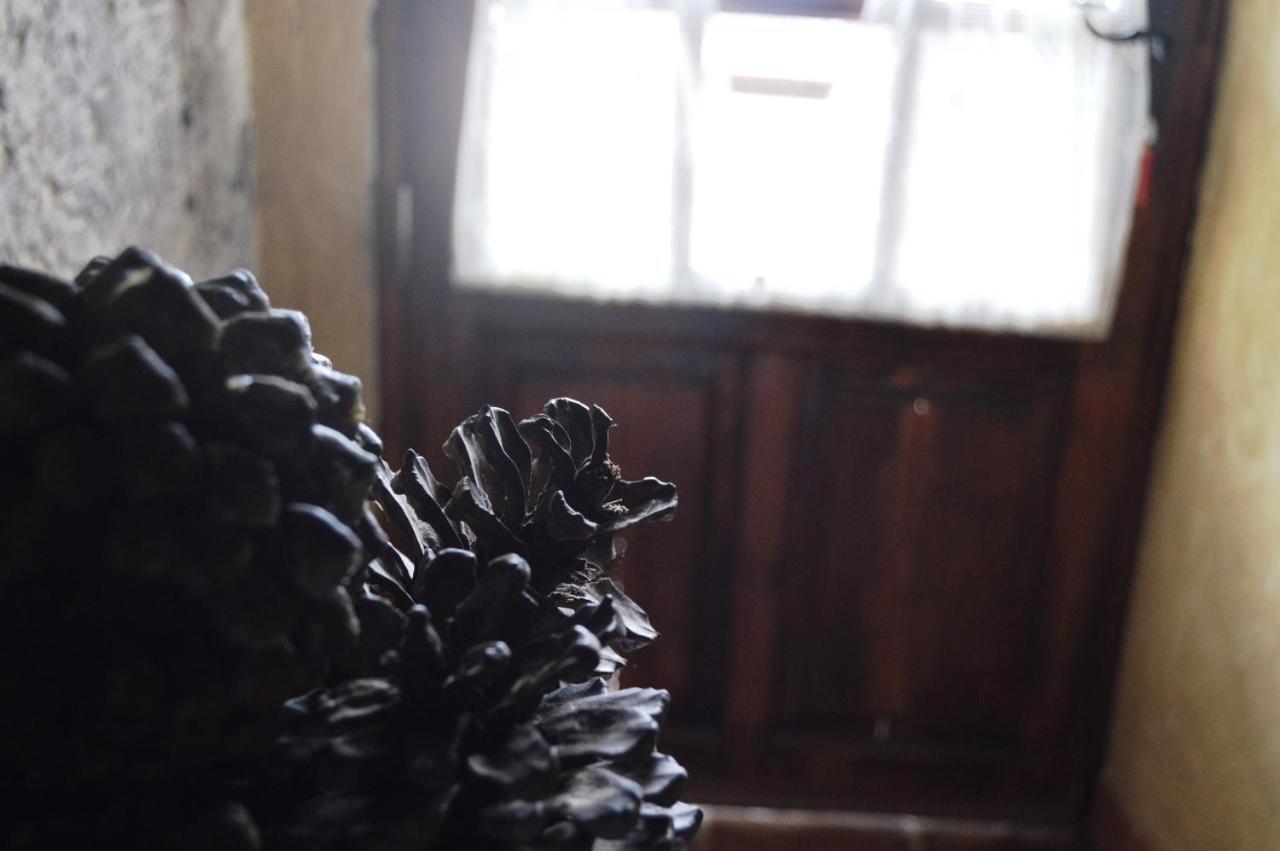 Casa Rural - Laendliches Haus, Pepita La De Las Flores Tejeda  Eksteriør bilde