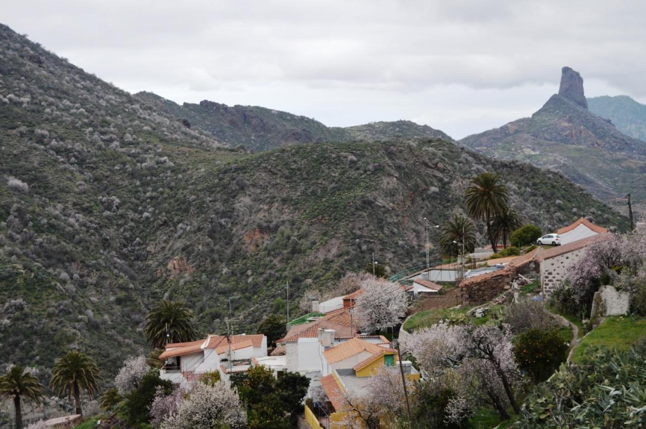 Casa Rural - Laendliches Haus, Pepita La De Las Flores Tejeda  Eksteriør bilde